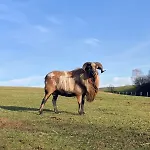 Gospodarstwo agroturystyczne Na Uboczu *
