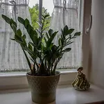 Na Uboczu Lantgård Gryfów Śląski
