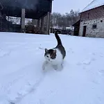 Na Uboczu Gryfów Śląski