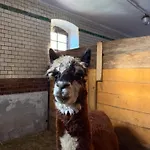 Na Uboczu Lantgård Gryfów Śląski