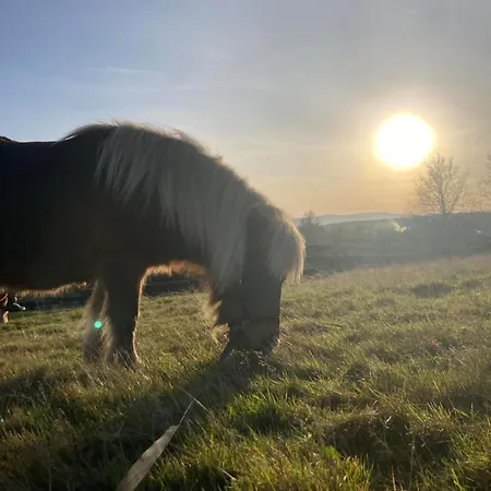 Na Uboczu Gospodarstwo agroturystyczne *