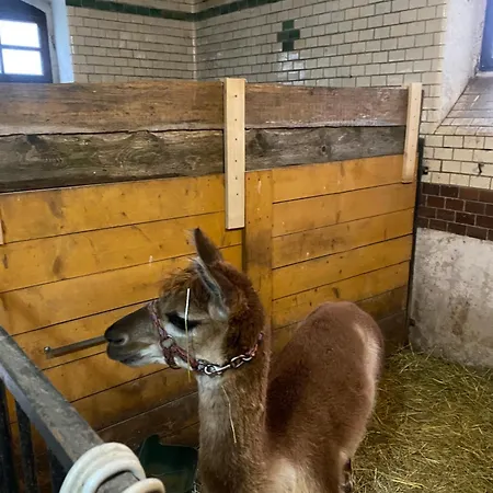 Na Uboczu Gospodarstwo agroturystyczne *