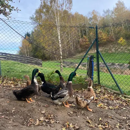 Gospodarstwo agroturystyczne Na Uboczu *