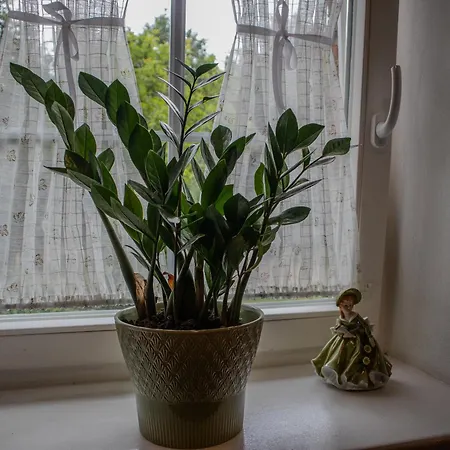 Na Uboczu Bauernhof Gryfów Śląski