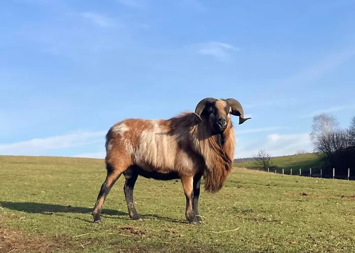 Vakantieboerderij Na Uboczu *