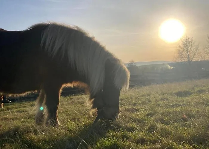 Na Uboczu Farm stay *