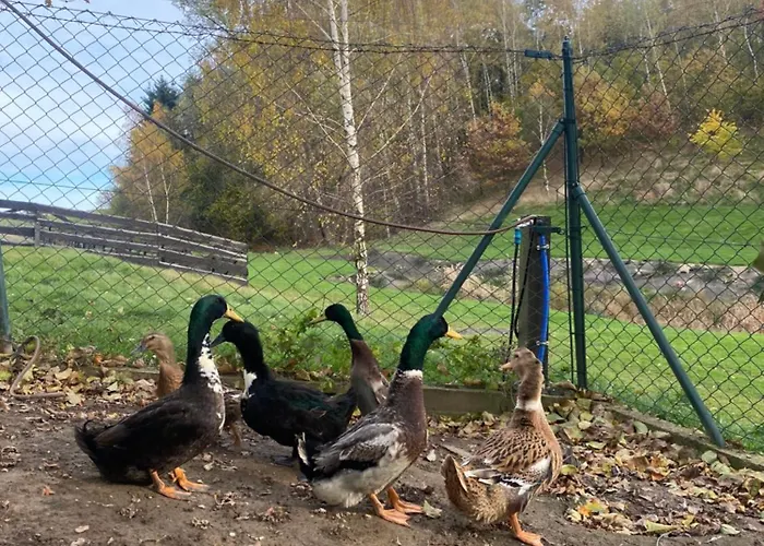 Vakantieboerderij Na Uboczu *