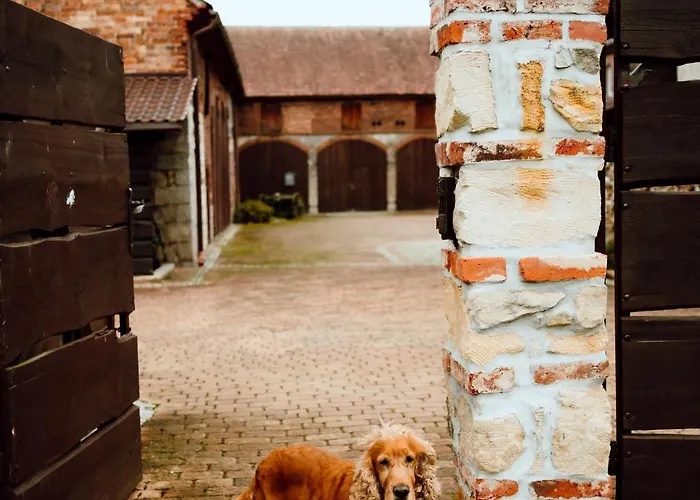 Farmház Na Uboczu Gryfów Śląski