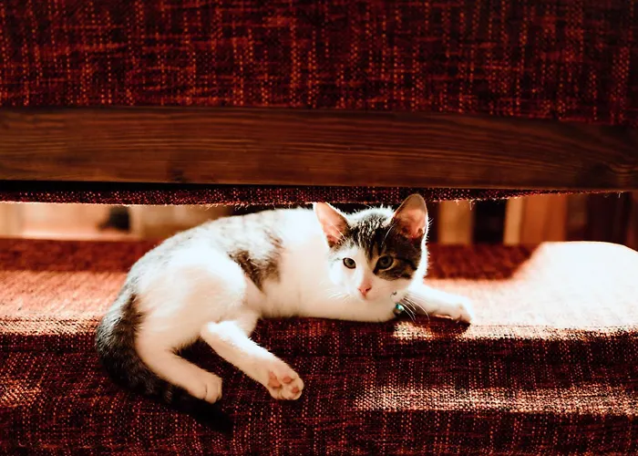 Na Uboczu Gryfow Slaski