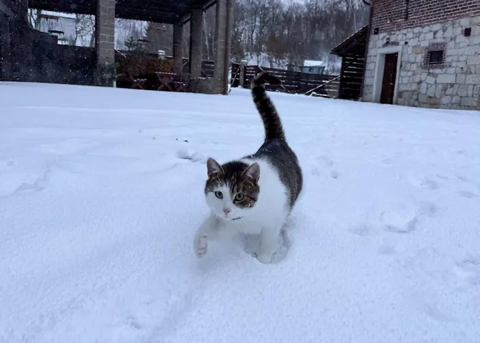 Na Uboczu Gryfow Slaski