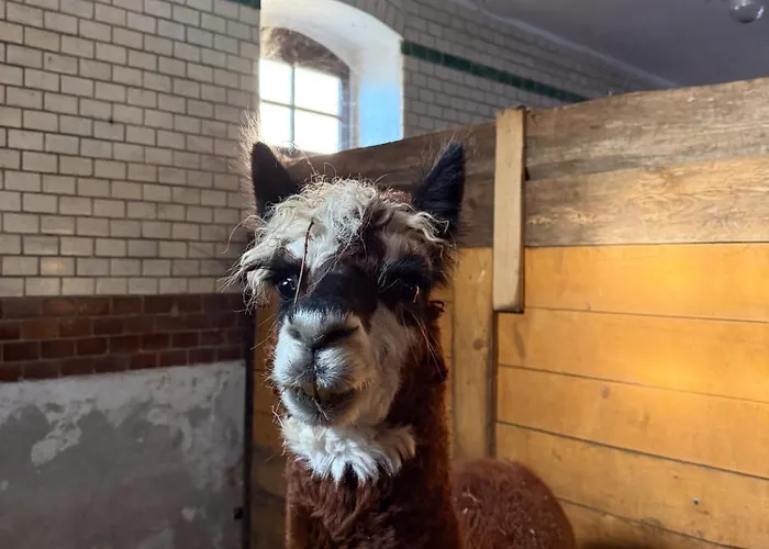 Na Uboczu Vakantieboerderij Gryfów Śląski