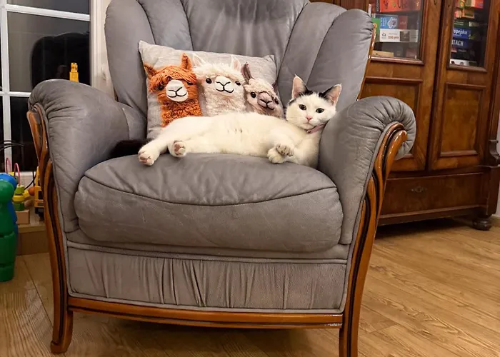 Na Uboczu Gryfow Slaski